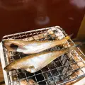 酔月の写真_137969