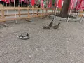 住吉大社の写真_137994