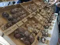 国連大学本部ビルの写真_138136