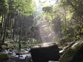鍋ヶ滝の写真_138150