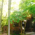 杣の栖の写真_138181