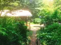 杣の栖の写真_138182