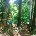 杣の栖の写真_138183