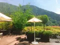 エクシブ箱根 離宮の写真_138214