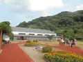 土肥金山の写真_138303