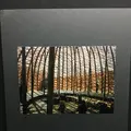 キヤノンギャラリー Sの写真_138867