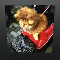 キヤノンギャラリー Sの写真_138869