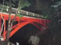 等々力渓谷の写真_138946
