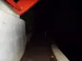 等々力渓谷の写真_138947