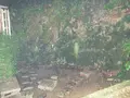 等々力渓谷の写真_138954