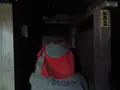 等々力渓谷の写真_138955