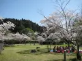 青井阿蘇神社の写真_139361