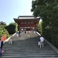 鶴岡八幡宮の写真_139465