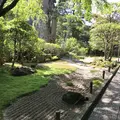 報国寺（竹寺）の写真_139470
