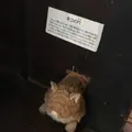 合掌造り民家園の写真_139722