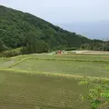杉池の広葉樹林【紅葉の名所】の写真_140108