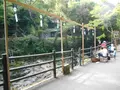 河津七滝巡りの写真_140132