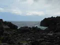 城ヶ崎海岸の写真_140163