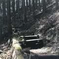 御岳山の写真_140269