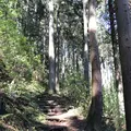 御岳山の写真_140270