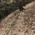 御岳山の写真_140272