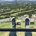 大室山の写真_140334