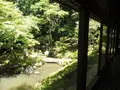 多賀大社の写真_140423