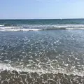 由比ガ浜海水浴場の写真_140442