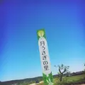 月うさぎの里の写真_140447