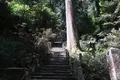 室生寺の写真_140488