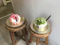 目黒ひいらぎの写真_140498
