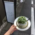目黒ひいらぎの写真_140499