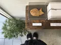 目黒ひいらぎの写真_140502
