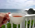 【閉業】葉山ホテル音羽ノ森 カフェテラスの写真_140645