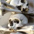 セドレツ納骨堂の写真_141016