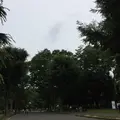 駒沢オリンピック公園の写真_141346