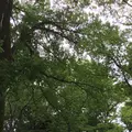 駒沢オリンピック公園の写真_141347