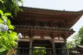 久安寺の写真_141673