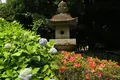 久安寺の写真_141674