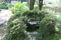 久安寺の写真_141675