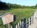 岡山後楽園の写真_141976
