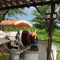 小岩井農場の写真_142534