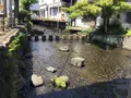 桜家の写真_142722