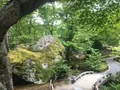 宝厳院の写真_142753