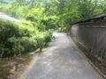 宝厳院の写真_142754