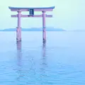 白鬚神社の写真_142788