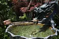 成就院の写真_142803
