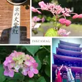 金剛寺（高幡不動尊）の写真_142967