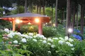 三室戸寺の写真_142996