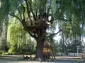 真鍋庭園の写真_143023